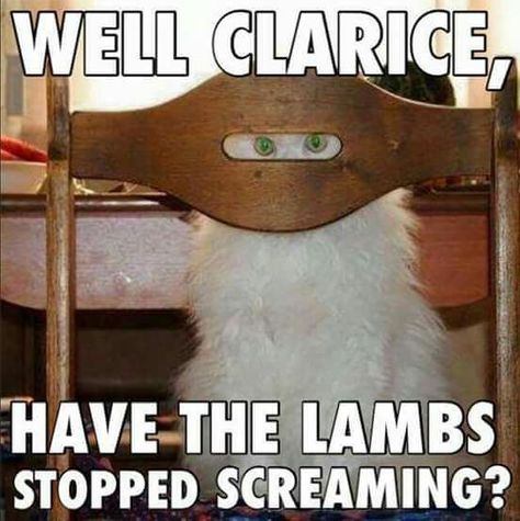 silence of the lambs Memes Crush, Silence Of The Lambs, Scary Cat, Joke Of The Day, Grumpy Cat, Funny Animal Pictures, Crazy Cat Lady, Animal Memes, Bones Funny