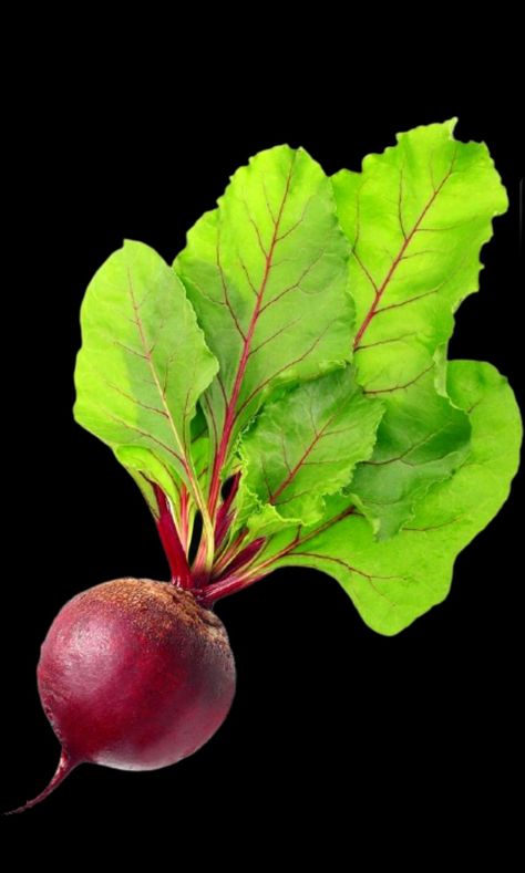 Photos Of Vegetables, Beet Painting, Beetroot Photography, Pencil And Watercolor Art, Beet Photography, Veggies Photography, Vegetable Photography, Vegetables Photography, Pencil And Watercolor