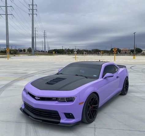 Camaro Zl1 Purple, Purple Hellcat, Camaro Purple, Underglow Car, Purple Cars, Purple Mustang, Purple Jeep, Camaro Car, Purple Car