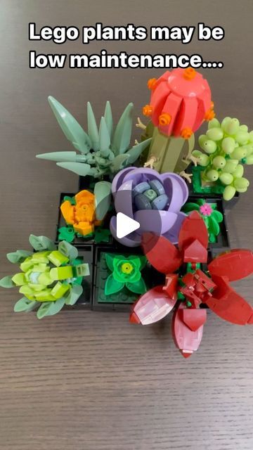 Lego Succulent, Lego Plants, Pregnancy Goals, A Brick Wall, Plants Succulents, March 5, Plant Stem, Succulent Garden, Succulents Garden