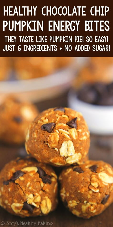 Pumpkin Chocolate Chip Energy Balls, Pumpkin Oatmeal Balls Healthy, Arbonne Pumpkin Protein Balls, Low Cal Energy Bites, Low Calorie Pumpkin Protein Balls, Pumpkin Oatmeal Energy Balls, Pumpkin Seed Balls, Pumpkin Oat Bites, Protein Pumpkin Chocolate Chip Cookies