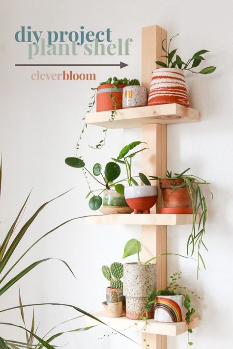 Have you been looking for a cute modern shelf to display your plant collection? Look no further! This modern plant shelf is pretty easy to make and it can be made for under $10. Display all of your favorite pots and knick knack with this easy DIY. #houseplants #displayshelf #diyshelf #modernorganization Diy Plant Wall Indoor, Plant Wall Display, Inside Greenhouse, Plant Shelving, Plant Shelf Ideas, Natural Shelves, Indoor Plant Shelves, Plant Room, Plant Shelf