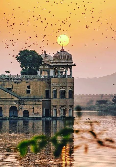 Beautiful Places to Visit in Jaipur Rajasthan Jal Mahal Jaipur, Jal Mahal, India Travel Places, India Architecture, Amazing India, Travel Infographic, India Tour, Indian Architecture, Tourist Places