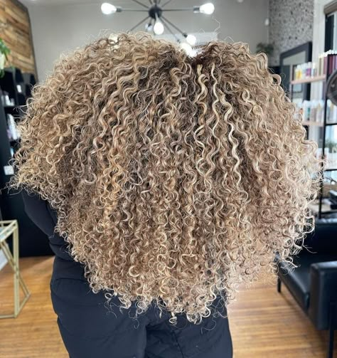 Curly Hair Color Ideas, Blonde Highlights Curly Hair, Curly Hair Color, Curly Cut, Highlights Curly, Curly Color, Curly Hair Beauty, Dyed Curly Hair, Balayage Blond