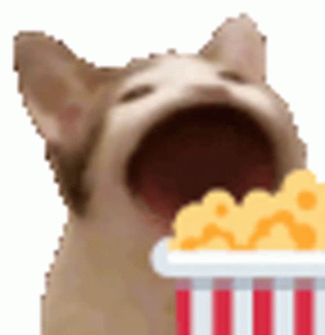 Popcorn Sticker - Popcorn - Discover & Share GIFs Gif Stickers For Discord, Eating Popcorn Reaction Pic, Discord Stickers Gif, Discord Emojis Gif, Popcorn Emoji, Discord Gif Icons, Popcorn Meme, Sticker Animation, Silly Gifs