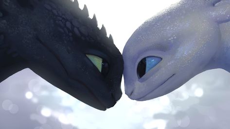 Toothless Wallpaper, Dragon Light, Toothless Dragon, Whatsapp Wallpaper Cute, Light Fury, Httyd Dragons, Dragon Trainer, Love Is Gone, Night Fury