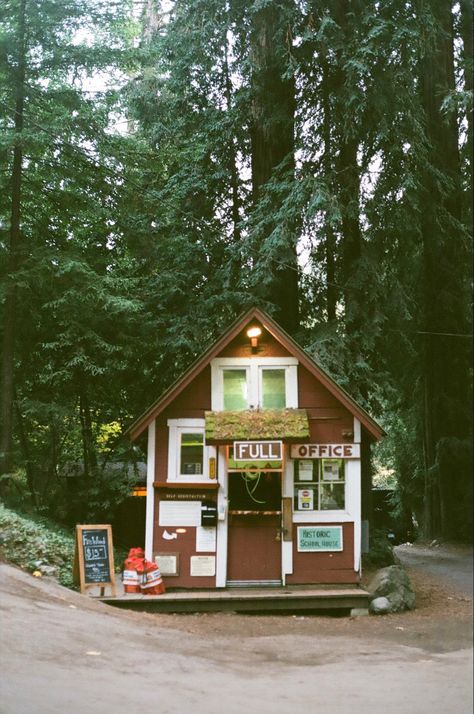 Fernwood Campground, Big Sur Big Sur Camping, Deetjens Big Sur, Fernwood Campground Big Sur, Deetjens Big Sur Inn, Big Basin Redwoods State Park, Big Sur, Cabin, House Styles, Photography