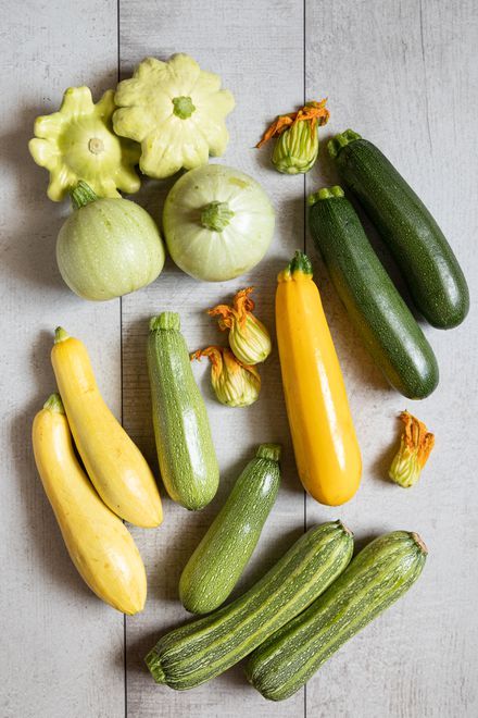 Your Guide to Summer Squash: How to Pick, Store, and Cook Squash Garden, Summer Squash Bread, How To Grow Zucchini, Squash Growing, Grow Zucchini, Zucchini And Summer Squash, Easiest Vegetables To Grow, Bread Zucchini, Zucchini Pasta Recipes