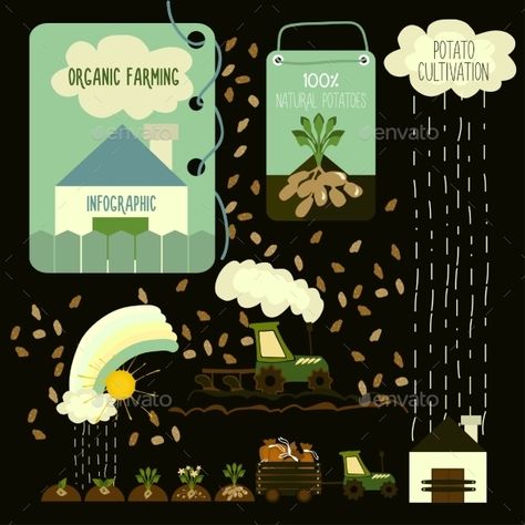 Potato Cultivation, Infographics. 3d Modelling, Organic Farming, Dark Background, Dark Backgrounds, Vector Graphics, Potato, Concept Art, Vector Images, Illustrations