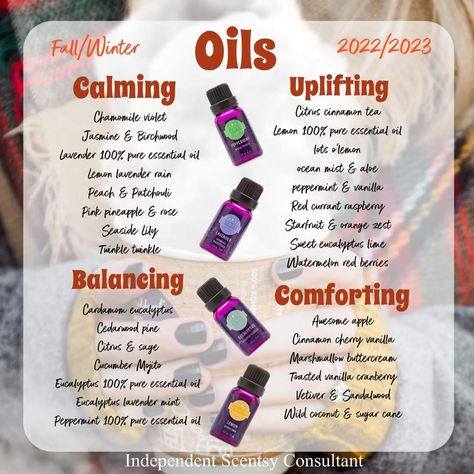 Scentsy Essential Oils, Scentsy Pictures, Scentsy Diffuser, Scentsy Oils, Diffuser Oils, Vetiver Essential Oil, Eucalyptus Lavender, Scentsy Consultant Ideas, Jasmine Essential Oil