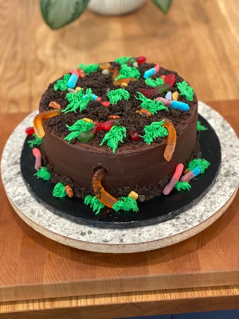 Chocolate Frosting Cake Design, Dirt And Worms Cake, Bug Cake Ideas, Gummy Worm Cake, Dirt Birthday Cake, Dirt Cake With Gummy Worms, Dirt And Worms, Easy Cakes For Kids, Worm Cake