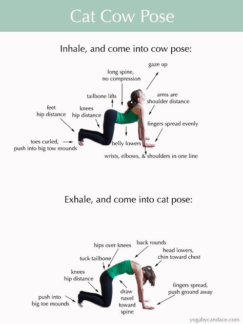 Cat Cow Yoga Pose, Cat Cow Pose, Yoga Poses For Back, Cat Cow, Cow Pose, Yoga For Back Pain, Sup Yoga, Frosé, Yoga Posen