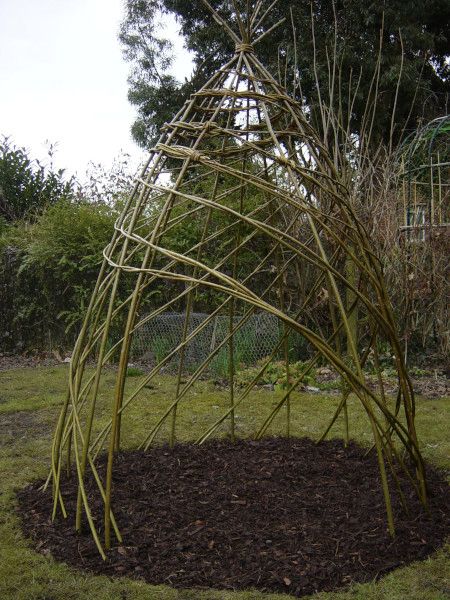 Willow Den, Willow Sculptures, Den Den, Natural Playgrounds, Willow Garden, Living Willow, Willow Weaving, Sensory Garden, School Garden