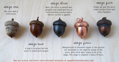 Electroplated Acorns from Enchanted Leaves Electroforming Tutorial, Electroplating Jewelry, Dried Acorns, Copper Electroforming, Acorn Pendant, Acorn And Oak, Acorn Necklace, Metal Smithing, Electroformed Jewelry