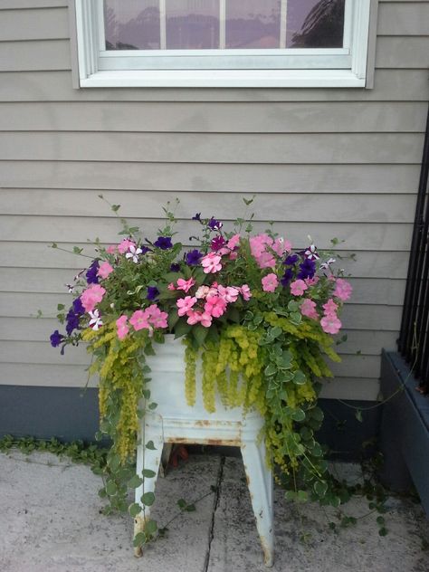 Old wash tub - it has lasted many many years with replantings Vintage Flower Pots Outdoor, Galvanized Wash Tub Planter Ideas, Wash Tub Flower Ideas, Wash Tub Planter Ideas, Old Wash Tub Ideas, Wash Tub Planter, Earth Day Ideas, Vintage Modern Decor, Galvanized Containers