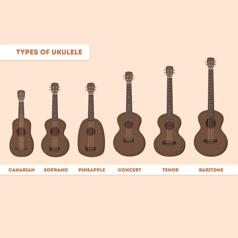 Types Of Ukulele, Ukulele Decoration, Ukulele Aesthetic, Teaching Ukulele, Song Structure, Ukulele Tabs Songs, Pineapple Ukulele, Ukulele Sizes, Ukulele Instrument