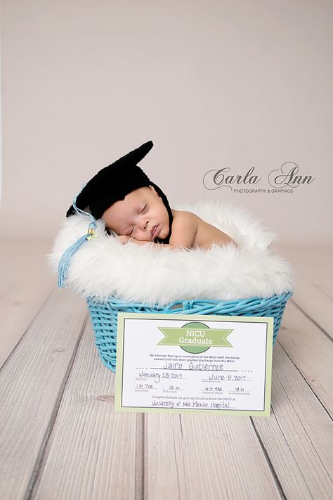 NICU Graduate newborn photography Preemie Newborn Pictures, Nicu Milestone Photos, Nicu Newborn Photography, Preemie Photoshoot, Nicu Grad Cap, Nicu Graduate Photoshoot, Nicu Baby Pictures, 1 Month Nicu Pictures, Nicu Photoshoot