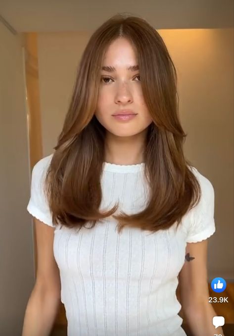 Long But Short Hair, Face Framing Fine Hair, Medium Length Hair Face Framing, Hair Long Layers Face Framing, Modern Layered Haircuts, Brown Hair Long Layers, Mid Length Hair Straight, European Haircut, Mid Length Hair With Face Framing Layers