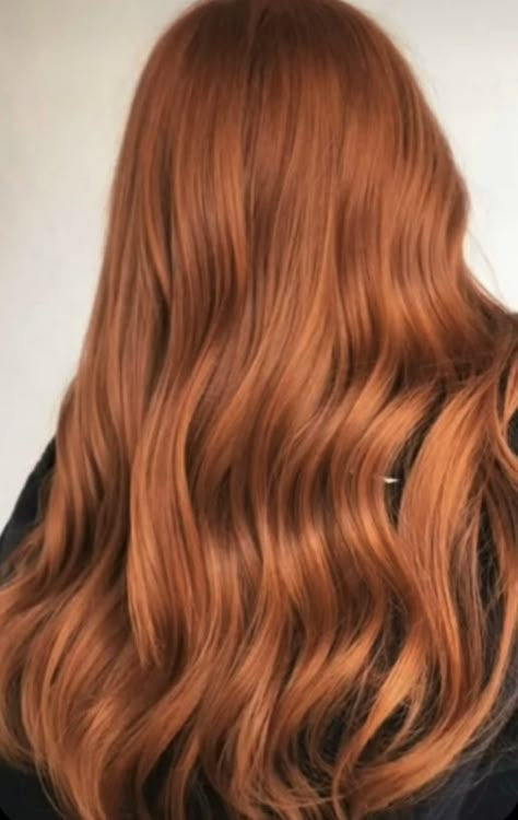 Pelo Color Cobre, Red Hair Inspo, Brown Hair Dye, Ginger Hair Color, Copper Hair Color, Strawberry Blonde Hair, Hair Color For Women, Auburn Hair, Copper Hair