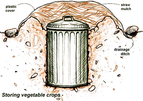 Garbage Can Root Cellar Root Cellar Storage, Root Cellars, Cellar Ideas, Survival Ideas, Storing Vegetables, Emergency Food Storage, Survival Stuff, Zombie Attack, Root Cellar