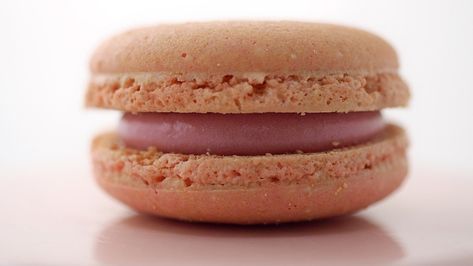 Macaroon Fillings, Macaroon Filling Recipe, Ganache For Macarons, Macaron Filling Recipe, Macarons Filling, Macaron Fillings, Macaroon Filling, Macaroons Flavors, Chocolate Macaroon