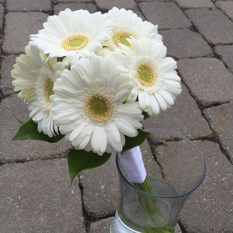 White Gerbera Bouquet, Mini Daisy Bouquet, White Gerber Daisy Bouquet, Daisy Bridesmaid Bouquet, White Gerbera Daisy, Gerbera Daisy Bouquet, White Gerbera, Baby Bouquet, Greenery Bouquet