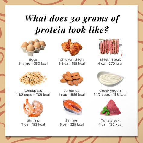 Listen girl, getting adequate protein can be the difference between building muscle, gaining strength, and staying functionally independent as you age, okay?? . If you’re struggling to get in enough protein, start by saving this post so, you have an idea of protein sources plus how much protein can provide 30+ grams. . Yes, protein takes a bit of planning and prep work. But, for myself and my clients, cooking protein rich meals and doubling those recipes gives me plenty of protein for a full ... Protein By Grams, How Much Protein Is In An Egg, Highest Sources Of Protein, Easy To Digest Protein, How Much Protein In Eggs, 50 Grams Protein Meals, 45 Grams Of Protein Meals, Dietitian Instagram Post Ideas, How To Get 120 Grams Of Protein In A Day