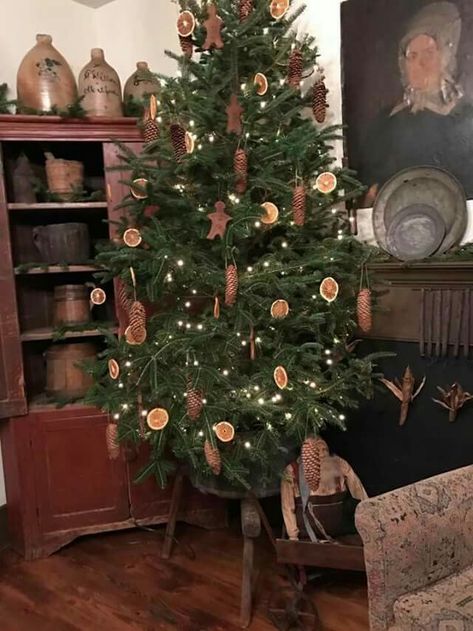 Prim tree Colonial Christmas Tree, Colonial Christmas Decorating, Primitive Christmas Trees, Color Scheme Ideas, Williamsburg Christmas, Primitive Christmas Tree, Primitive Country Christmas, Primitive Christmas Decorating, Primitive Christmas Decor