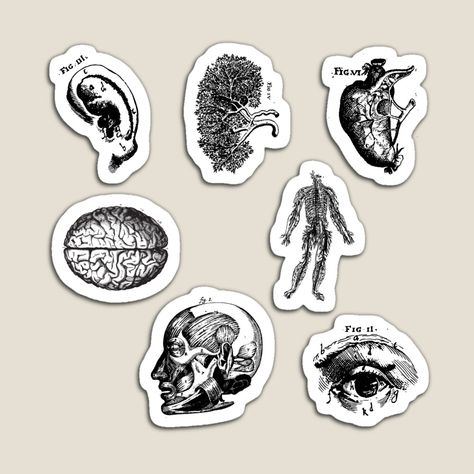 Medicine Stickers Aesthetic, Doctor Stickers, Medical Stickers, Science Stickers, Black And White Stickers, Collage Scrapbook, Vintage Medical, Body Stickers, Printable Scrapbook Paper