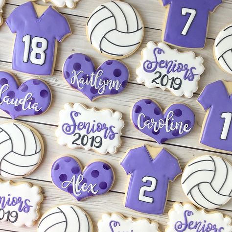 Volleyball Cookies Ideas, Volleyball Royal Icing Cookies, Volleyball Decorations, Volleyball Cookies, Volleyball Crafts, Volleyball Senior Night, Volleyball Team Gifts, Instagram Cookies, Dream Birthday