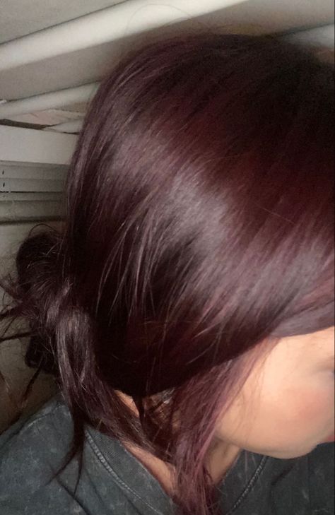 Red Tint Hair Dark, Red Hair Tint, Dark Wine Hair, Dark Wine Red Hair, Red Wine Hair Color, Red Tint Hair, Wine Hair Color, Wine Red Hair, Wine Hair