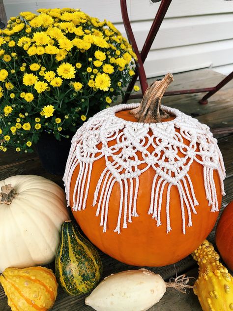 boho cotton macrame pumpkin cover / macrame fall decorations Macrame Pumpkin, Halloween Macrame, Boho Fall Decor, Boho Halloween, Halloween Decor Diy, Makramee Diy, Diy Plant Hanger, Pumpkin Fall Decor, Autumn Crafts