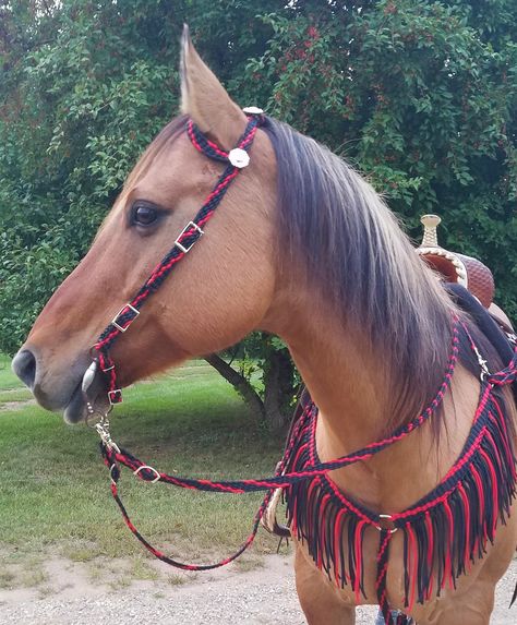 Red Tack Set Western, Red Horse Tack, Beaded Browband, Bling Tack, American Flag Horse Tack, Baroque Horse Tack, Horse Halter And Lead Rope, Wither Strap, Barrel Racing Tack