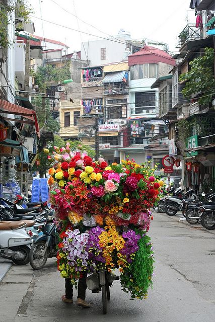 Hanoi, Vietnam Vietnam Voyage, Ha Noi, Flower Shops, Hanoi Vietnam, Satin Flowers, Janis Joplin, Angkor, Chiang Mai, Flower Market