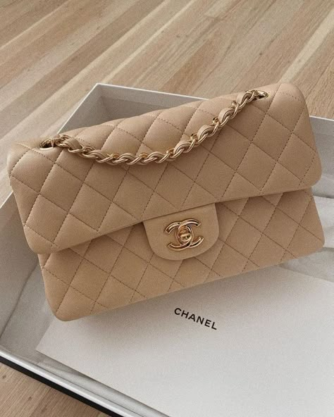 ✨ on Twitter: "this nude chanel bag… " Beige Chanel Bag, Trendy Purses, Chanel Cruise, Stylish Purse, Chanel Tote, Girly Bags, Luxury Purses, Fancy Bags, Pretty Bags