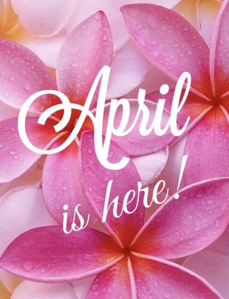 April is Here Hello April Birthday Month, Welcome April Wallpaper, Happy New Month April, Hello April Month, April Birthday Month, Hello April Quotes, April Images, Welcome April, New Month Wishes