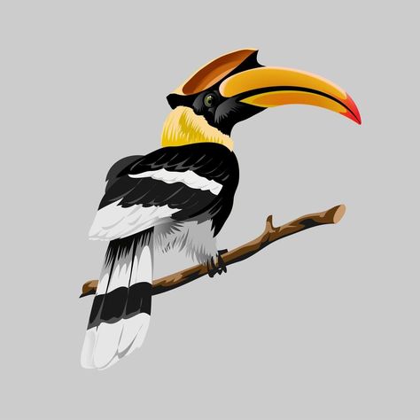 Hornbill bright tropical bird with an incredible yellow beak Hornbill Illustration, Hornbill Bird, Gate Logo, Bus Skin, Bus Skin Design, Animal Vector, Parrots Art, Bird Clipart, Skin Design