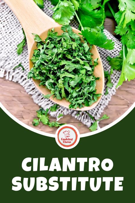 Looking for cilantro substitutes that you can use in any recipe? Click here to learn about 5 options you should consider and how to use them. Cilantro Substitute, Cooking Substitutions, Middle Eastern Dishes, Lemon Basil, Thai Basil, Sweet Basil, Holy Basil, Cooking Gadgets, Stir Fries