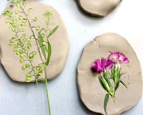 Clay Impressions Nature, Clay Impressions For Kids, Flower Impressions In Clay, Air Dry Clay Nature Projects, Earth Clay Crafts, Kids Clay Projects, Bread Clay, Clay Imprints, How To Make Earth