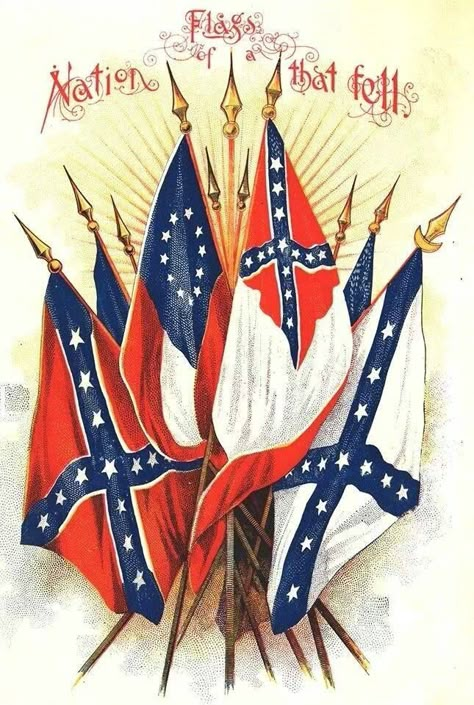 Confederate Flags Jefferson Davis, Battle Flag, Southern Heritage, Propaganda Art, The Flag, American Heritage, History Books, States Of America, American History