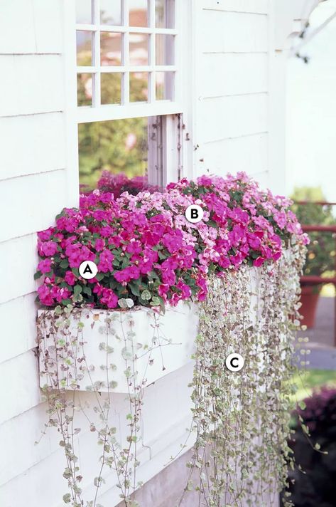 16 Pretty and Simple Combinations of Window Box Flowers for Shade Planter Boxes Flowers, Plants For Planters, Window Box Plants, Plant Window, Box Window, Box Flowers, Window Box Flowers, Balcony Flowers, Window Planters