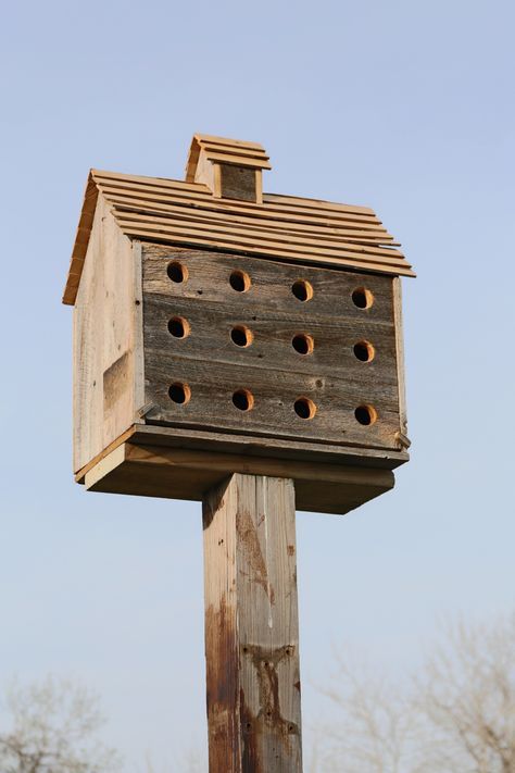 Martin House Birdhouses, Martin House Plans, Purple Martin House Plans, Purple Martin Birdhouse, Martin Bird House, Martin Bird, Cool Bird Houses, Birdhouses Ideas, Barn Birdhouses