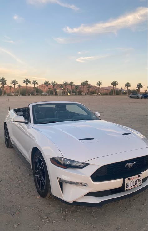 Mustang 5.0, White Mustang Aesthetic, White Mustang, Ford Mustang Convertible, Ford Mustang Car, Girly Car, Lux Cars, Mustang Convertible, Car Goals