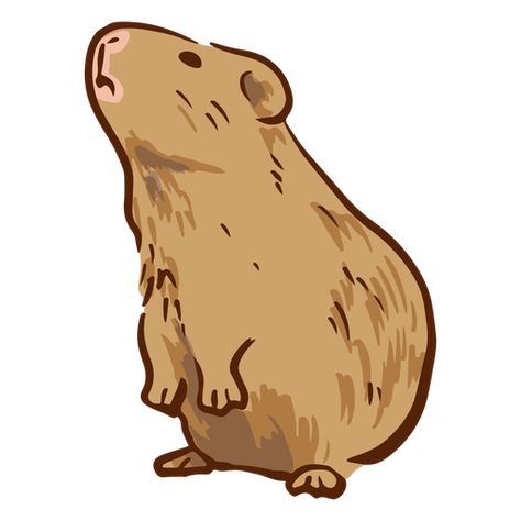 Guinea pig standing illustration PNG Design Guinea Pig Illustration, Standing Illustration, Pig Illustration, Ad Illustration, Design Ad, Guinea Pig, Png Design, Art Background, Friend Birthday