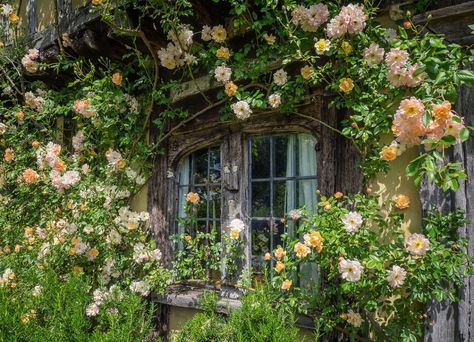 #cottagecore #aesthetic #calm #window #pretty #grass #flowers Isabella Core, Green Core, Cottage Aesthetic, Surrounded By Flowers, Cottage In The Woods, Fairy Cottage, Cottage Core Aesthetic, Dream Cottage, Flowers And Greenery