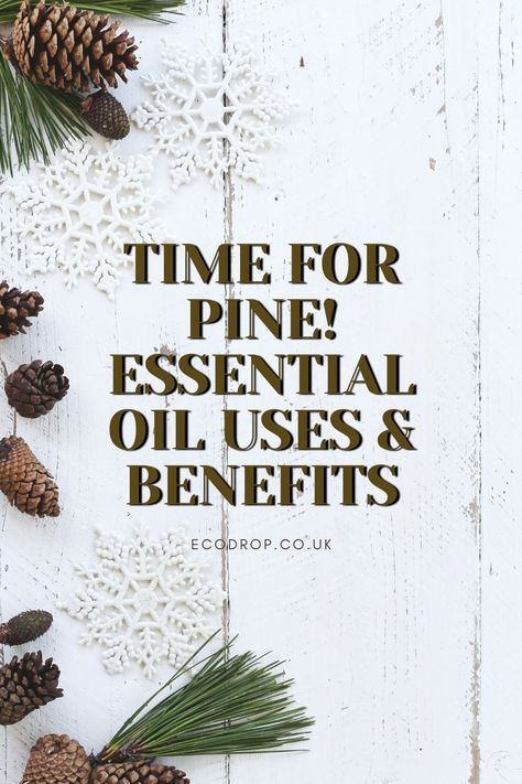 Pine Needle Oil Benefits, Pine Essential Oil Benefits, Essential Oils Evergreen, Lemon Essential Oil Recipes, Pine Needle Oil, Pine Needle Essential Oil, Ayurvedic Lifestyle, Essential Oils For Cough, Marjoram Essential Oil