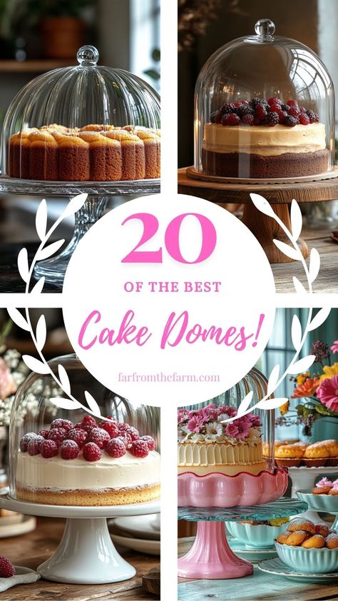 20 Classy Cake Domes to Elevate Your Dessert Displays Galvanized Cake Stand, Classy Cake, Cake Plate With Dome, Elegant Cake Stands, Cake Stand With Lid, Rotating Cake Stand, Marble Cake Stand, 3 Layer Cakes, Acrylic Cake Stands