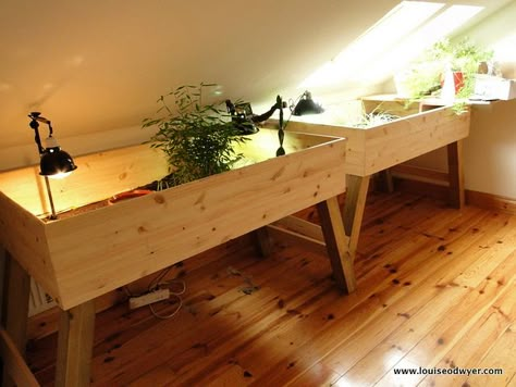 Indoor Tortoise tables | Flickr - Photo Sharing! @ http://www.flickr.com/photos/madeforanangel/6005152542/in/photostream/ Tortoise Diet, Tortoise Cage, Turtle Table, Russian Tortoise Diet, Red Footed Tortoise, Tortoise House, Turtle Homes, Tortoise Table, Tortoise Enclosure