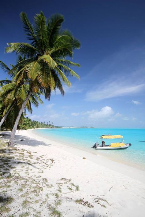 Blue skies at the beach. Tropical Water, Cocos Island, Visit Melbourne, Oceania Travel, Clear Blue Sky, Island Travel, Incredible Places, Blue Skies, Sandy Beaches