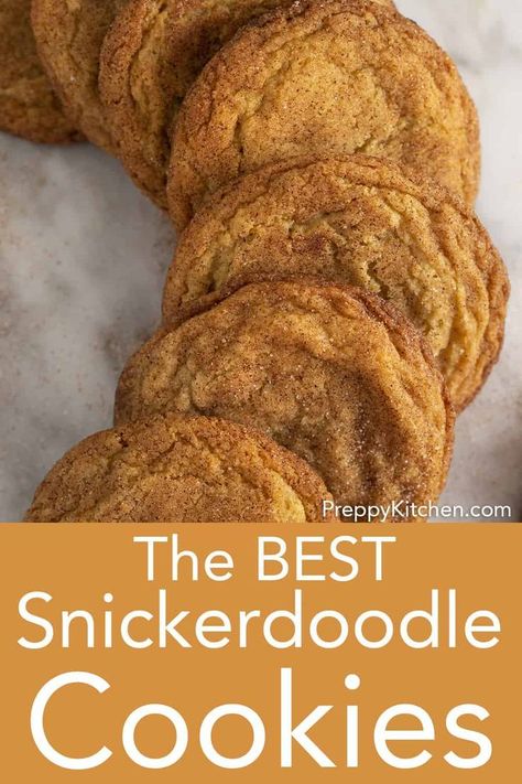 Classic soft and chewy cinnamon-infused snickerdoodle cookies from Preppy Kitchen. They're quick and easy to make and beyond delicious! #bestcookies #snickerdoodles #snickerdoodlecookies Snickerdoodle Cookies Recipe, Best Snickerdoodle Cookies, Snickerdoodle Cookies Easy, Desserts Cookies, Snickerdoodle Recipe, Preppy Kitchen, Frozen Cookie Dough, Snickerdoodle Cookies, Double Chocolate Chip Cookies